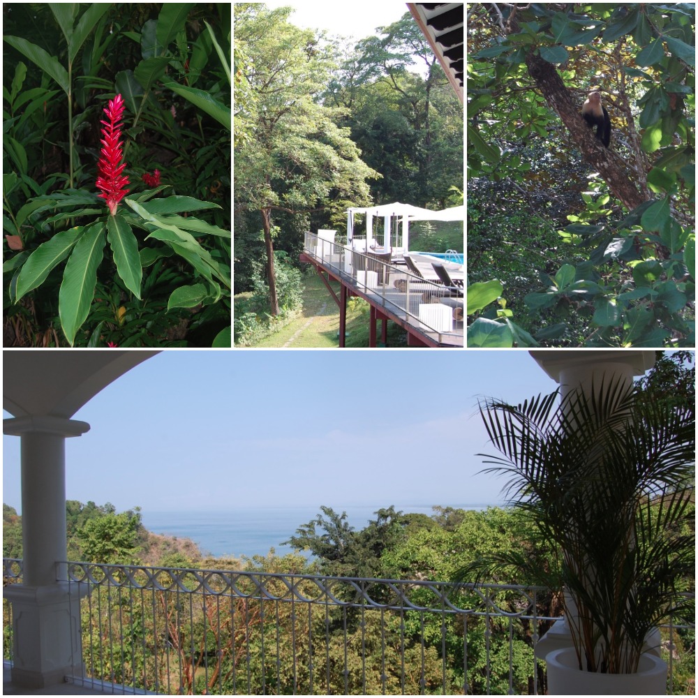 the-suu-hotel-manuel-antonio-costa-rica-hotel-grounds-travel-highlife